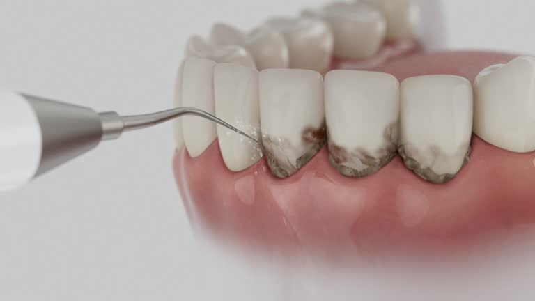 Reliable Dental contractor in San Bruno, CA by Dentist Open Now